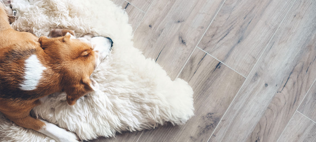 Albuquerque Flooring Contractor, Flooring Company and Hardwood Flooring